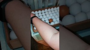 Запуск инкубатора" Матрица Дели"