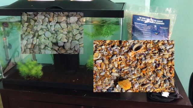 Aquarium GH and KH For Beginners смотреть онлайн