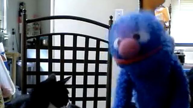 Kashmir by Led Zeppelin (Sung By A Sock Who Wears Suede) смотреть онлайн