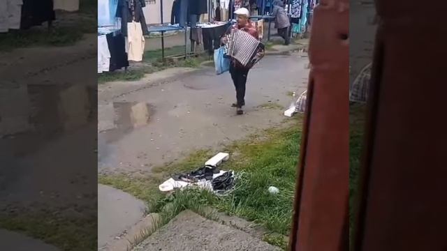 Мировое Турне по рынкам Республики " Известного Баяниста"…! 🎵🙋♂️🎼🎉🎶 смотреть онлайн