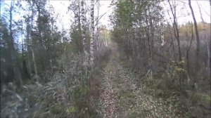 Река Лух 10.2021