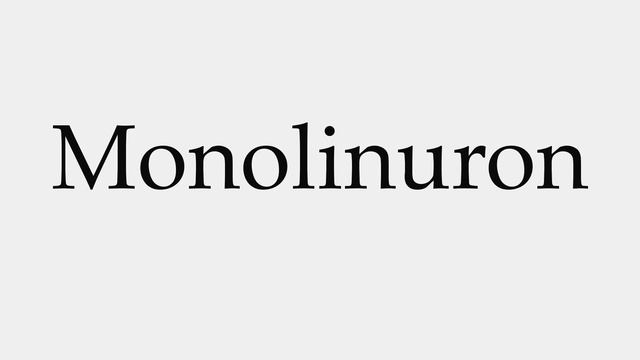 How to Pronounce Monolinuron смотреть онлайн