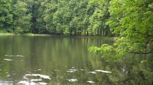 Объектив Тамрон (Tamron) 28-75 f2.8 di iii RXD, Sony A7iii