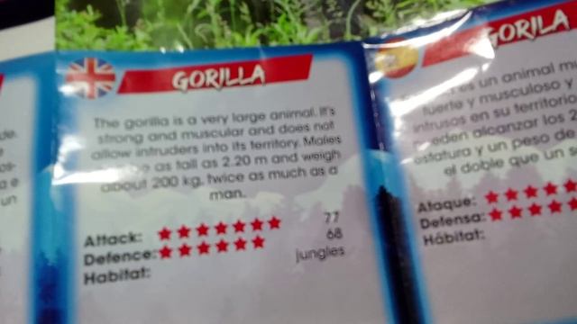 делаем шоколадная фондю.mp4 смотреть онлайн