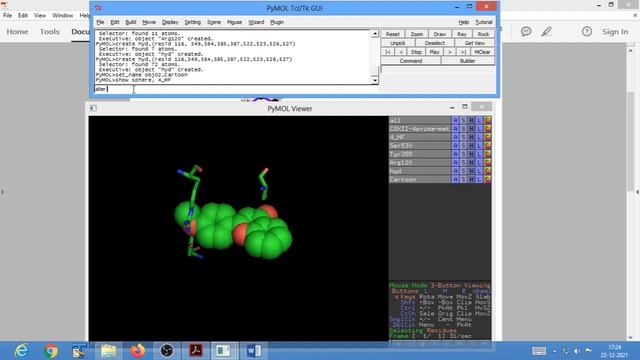 8 Preparing Publication quality Images using Pymol смотреть онлайн
