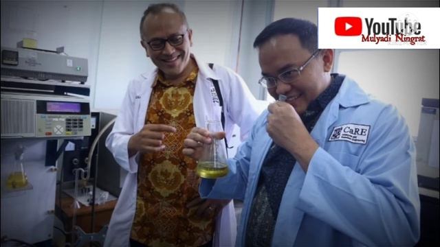 Bensin Kelapa Sawit Sebagai Inovasi Dan Sejarah Bagi Indonesia #bensa #bensinsawit #sawit смотреть онлайн