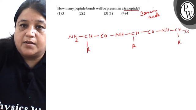 How many peptide bonds will be present in a tripeptide?
(1) 3
(2) 2
(3) (1)
(4) 4
\( \mathrm{P} ... смотреть онлайн
