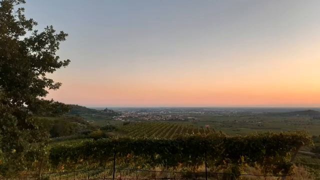 GIOVANNI PICO DELLA MIRANDOLA, Oratio de hominis dignitate смотреть онлайн