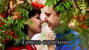 Тополь и рябина