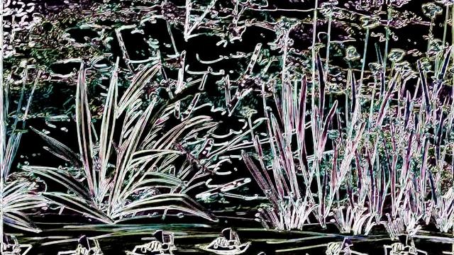 👦Lolka I Bolka | Болек и Лёлик👦 - 15 серий одним выпуском -  4K Neoned - 2HourSS+ Compilation