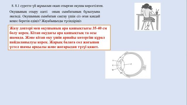 8 сынып. Биология. ТЖБ 3 тоқсан смотреть онлайн