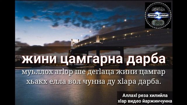 Жини цамгарна а,бозбончалн а дарба | Шейх Мухьаммад смотреть онлайн