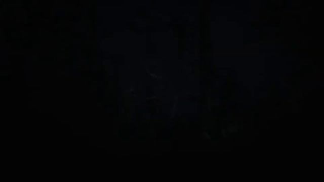 Прохождение Blair Witch на русском. Часть1. смотреть онлайн