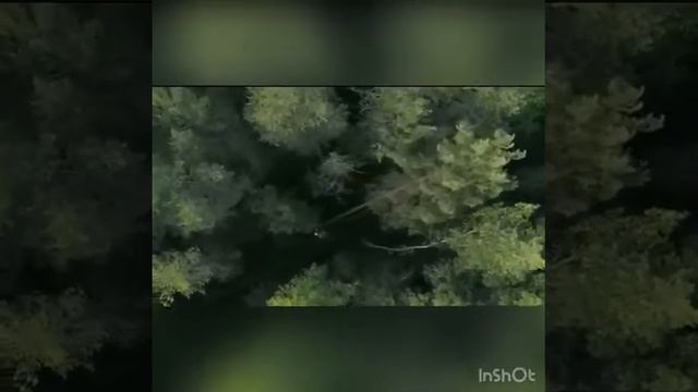 Экология и мы! смотреть онлайн