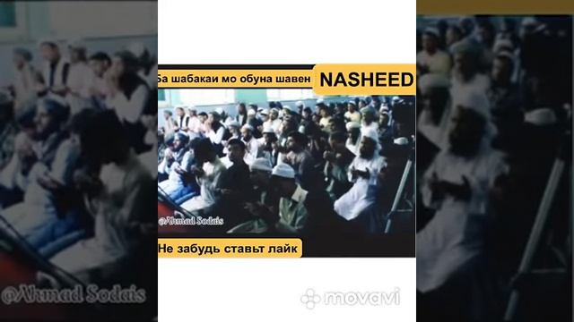 Ассалому алейкум Ай шумо эхтиромона хамин наворо пахн кунед бехтарин суханхо ин дуо барои мовушумо😢 смотреть онлайн