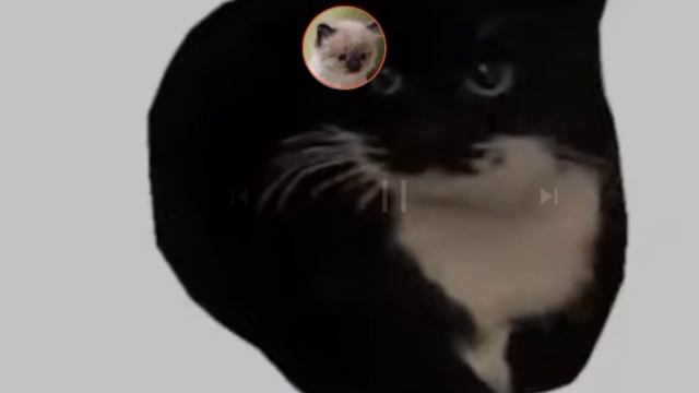 максвелл танцует под Clutterfunk смотреть онлайн