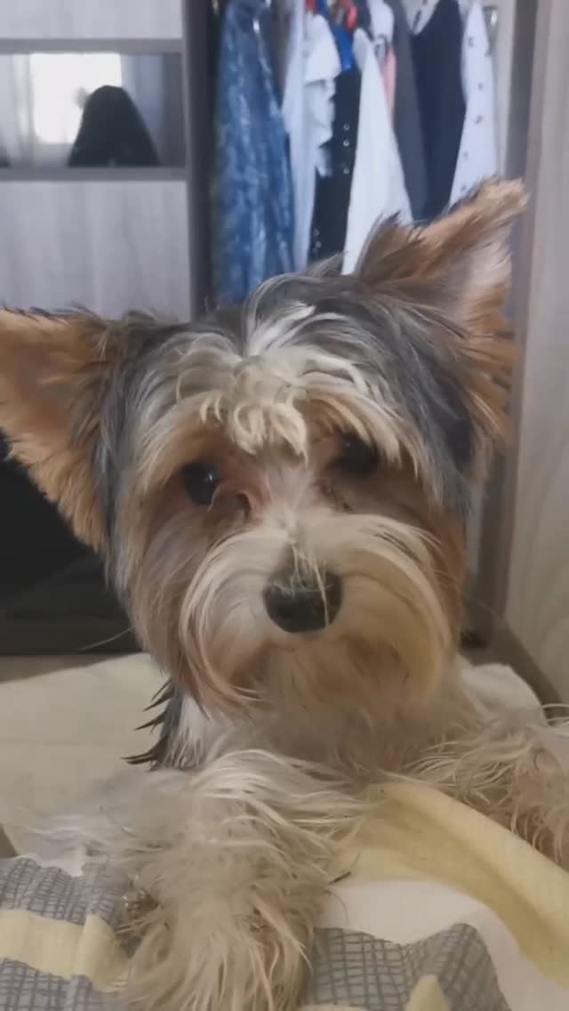 Папа VS Арчик схватка!