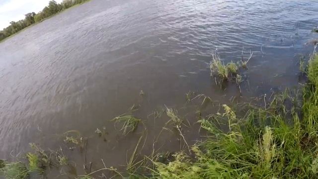 Рыбалка в Астраханской области в середине лета смотреть онлайн