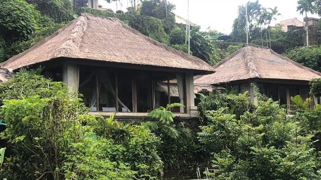 Великолепный Royal Pita Maha Ubud 5* - обзор, март 2020 смотреть онлайн