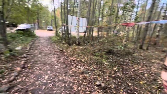 Отдых в Ленинградской области прекрасен . смотреть онлайн
