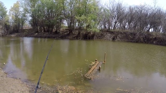 Вобла пошла в полои Рыбалка в Астрахани 2021 На тихом ерике с поплавочкой смотреть онлайн