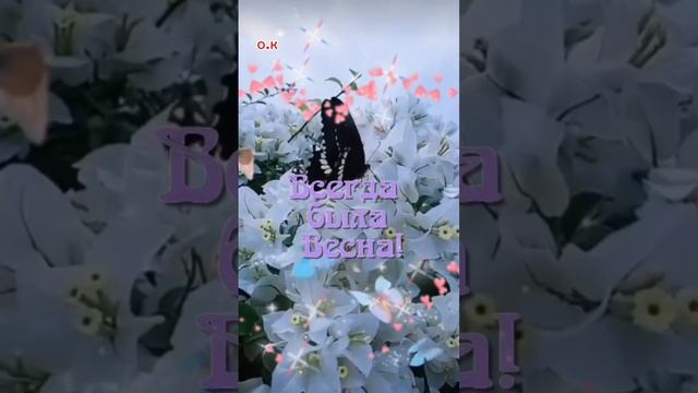 #Всем Здоровья смотреть онлайн