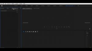Как изменить переместить и открыть окна панели в Adobe Premiere Pro