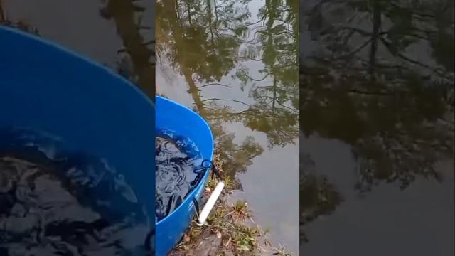 запуск смотреть онлайн