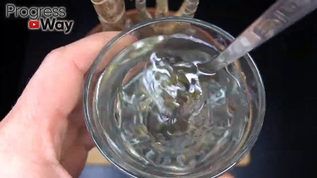 1 Чайная ложечка под любой домашний цветок и пышное цветение вам обеспечено!Цветет Вмиг +10 рецепто смотреть онлайн