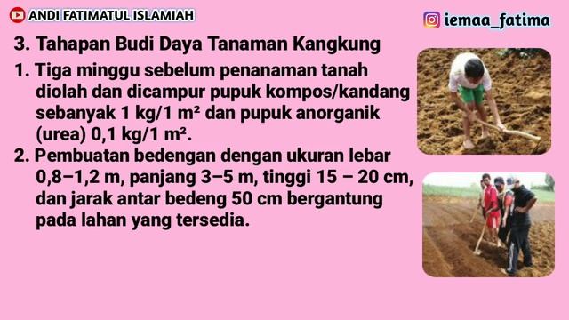 BUDI DAYA TANAMAN SAYURAN //PRAKARYA//KELAS7 смотреть онлайн