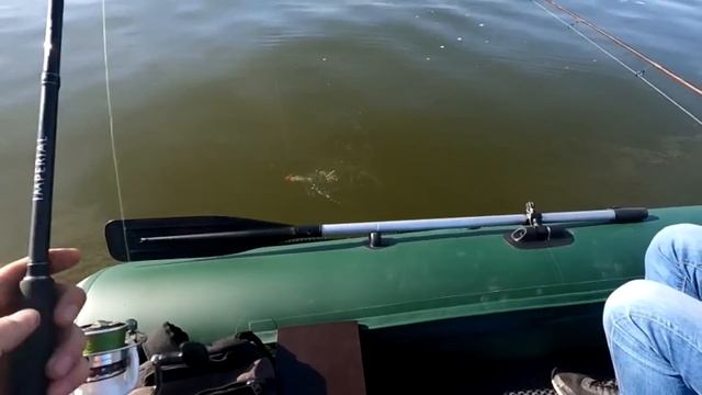 Весна Астрахань Открытая вода Первая рыбалка сезона 2023 Новая Лодка Атлантис НДНД смотреть онлайн