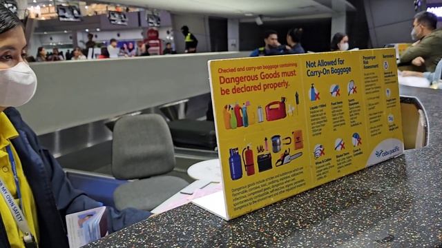FIRST INTERNATIONAL FLIGHT | Airport Travel Guide NAIA Step by Step Process Explained смотреть онлайн