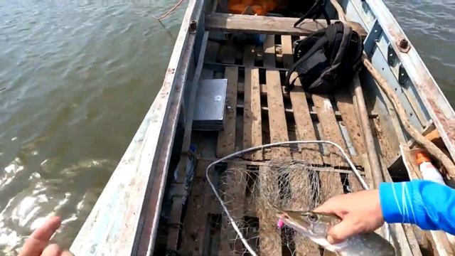 Осенняя рыбалка в Астрахани 2022 Выехали с женой на рыбалку Рыбачка перестала быть фартовой) смотреть онлайн