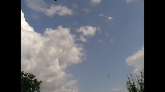 Николаевские голуби г.Павлоград Голубятники Харьковщины в гостях голубятников г.Павлограда смотреть онлайн