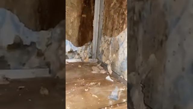 Дом "РЭП Профессионал" смотреть онлайн