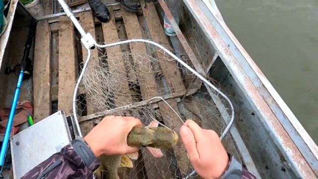 Вытащили лодку Осенняя рыбалка в Астрахани 2022 Ловля щуки смотреть онлайн