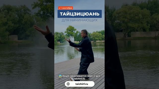 "Тайцзицюань для начинающих". Акция заканчивается через 2 дня taichirf.ru смотреть онлайн