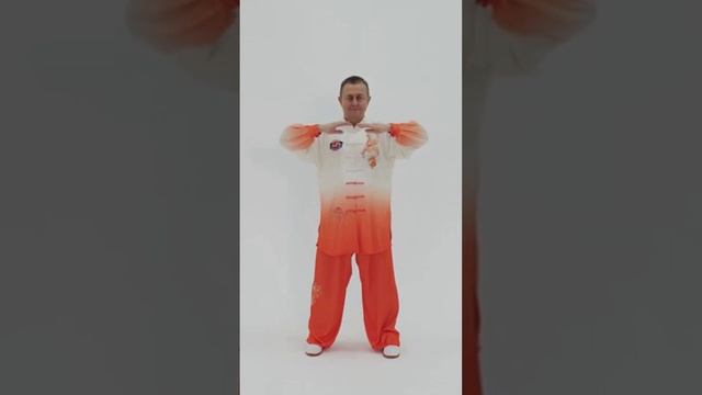 38 причина заняться Оздоровительным Цигун. Повышение самодисциплины. #shorts #цигун смотреть онлайн