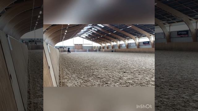 Ester du Balou born 2017 by Balou du Rouet-Brigadör смотреть онлайн