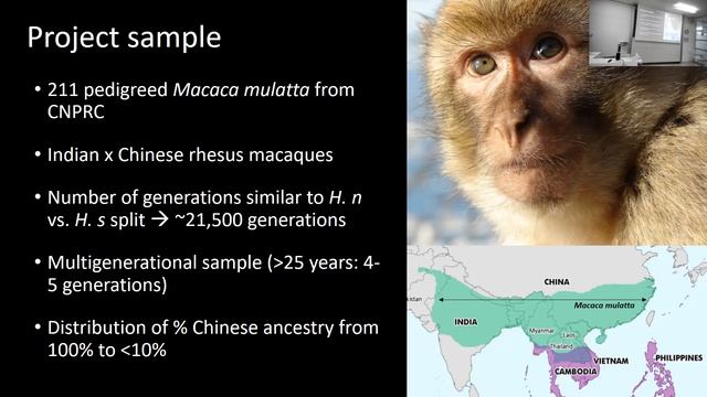 HEAS Seminar Series – Human Evolution and the Palaeolithic смотреть онлайн