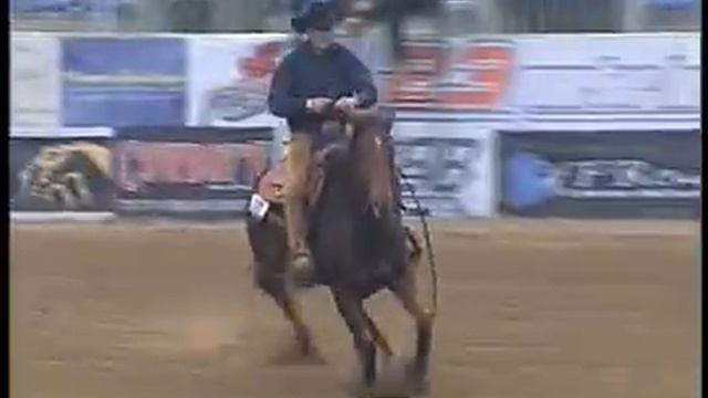 Ascanius Jack - Futurity 2009 Cinzia Speroni Ester смотреть онлайн