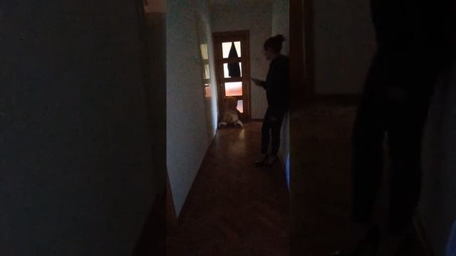 Hamlet 6 смотреть онлайн