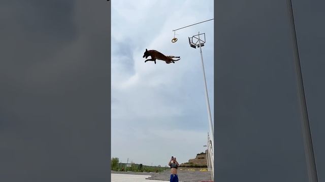 Молодец!Отлично! Чутка не хватило смотреть онлайн