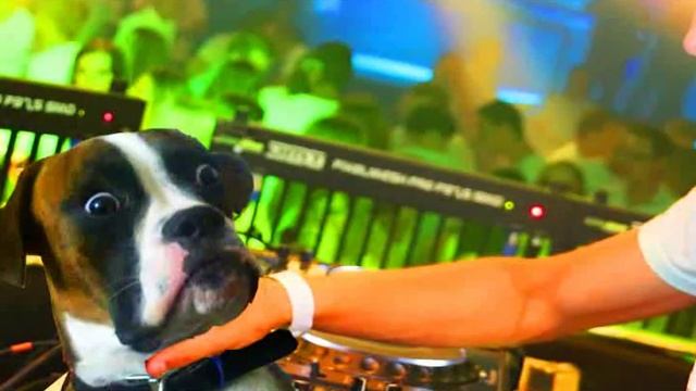 Martin Garrix - Stamina (NEW SONG!!) смотреть онлайн