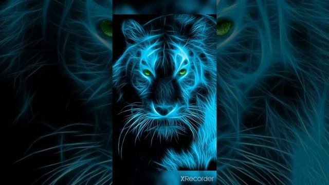 Клип про тигра смотреть онлайн