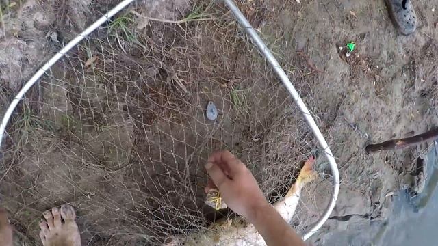 Сазаны кладут и вырывают со стоек удилища Рыбалка на жмых в Астрахани 2021 Разведка нового места смотреть онлайн