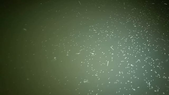 РЫБОЛОВНЫЙ ГЛЭМПИНГ В АСТРАХАНИ Летняя рыбалка в дельте Волги смотреть онлайн