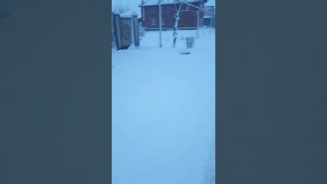 VLOG Зимняя сказка. Мой первый влог. 🤗 смотреть онлайн