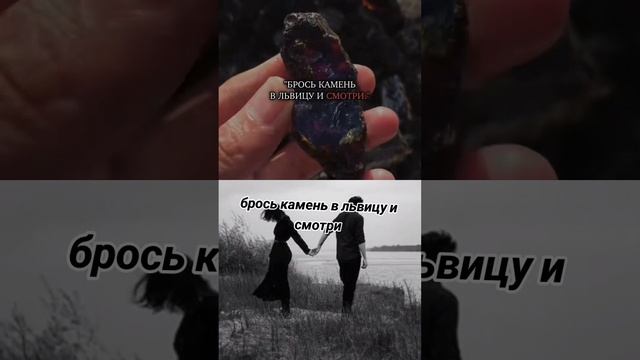 #subscribers #цитаты #dears #мем #kpop #мужчина #жена #зоопарк #лев #обезьяна смотреть онлайн