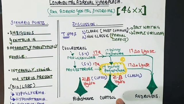 Congenital adrenal hyperplasia vs androgen insensitivity syndrome смотреть онлайн